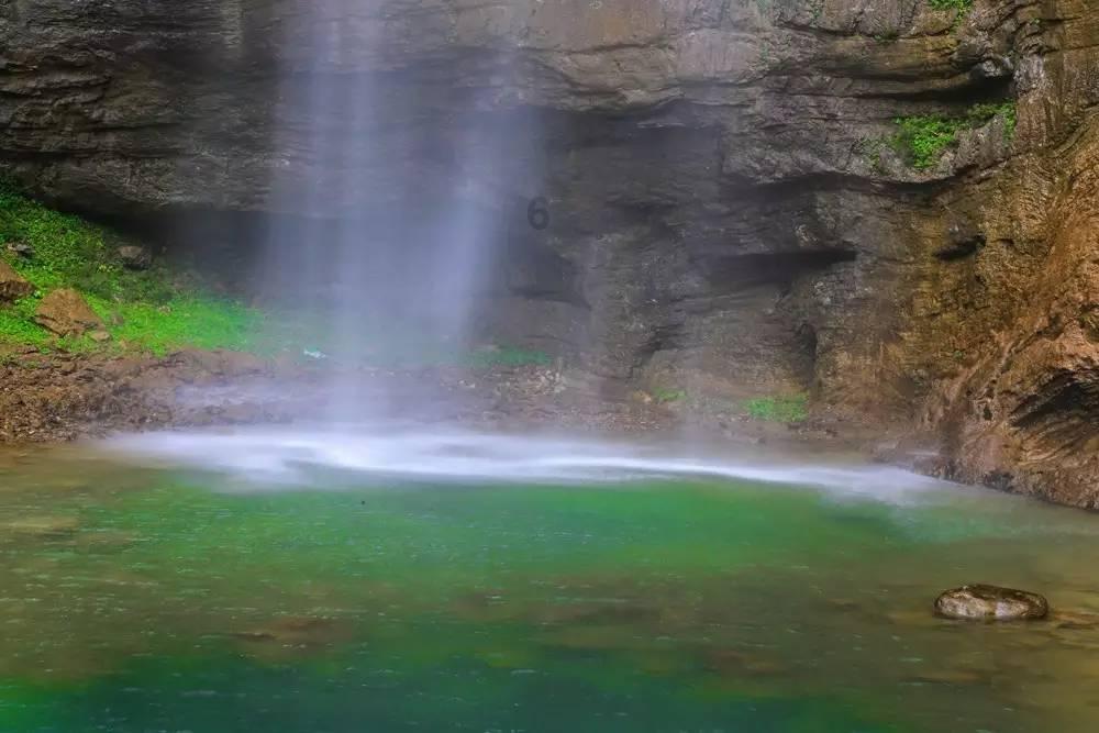 泡沫森林